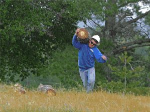 Large Tree Removal