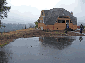 Large Tree Removal