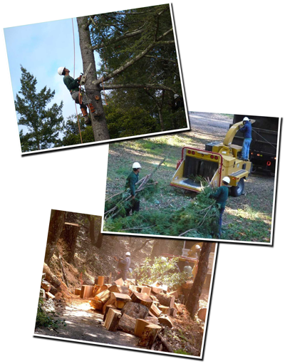 Tree work composite